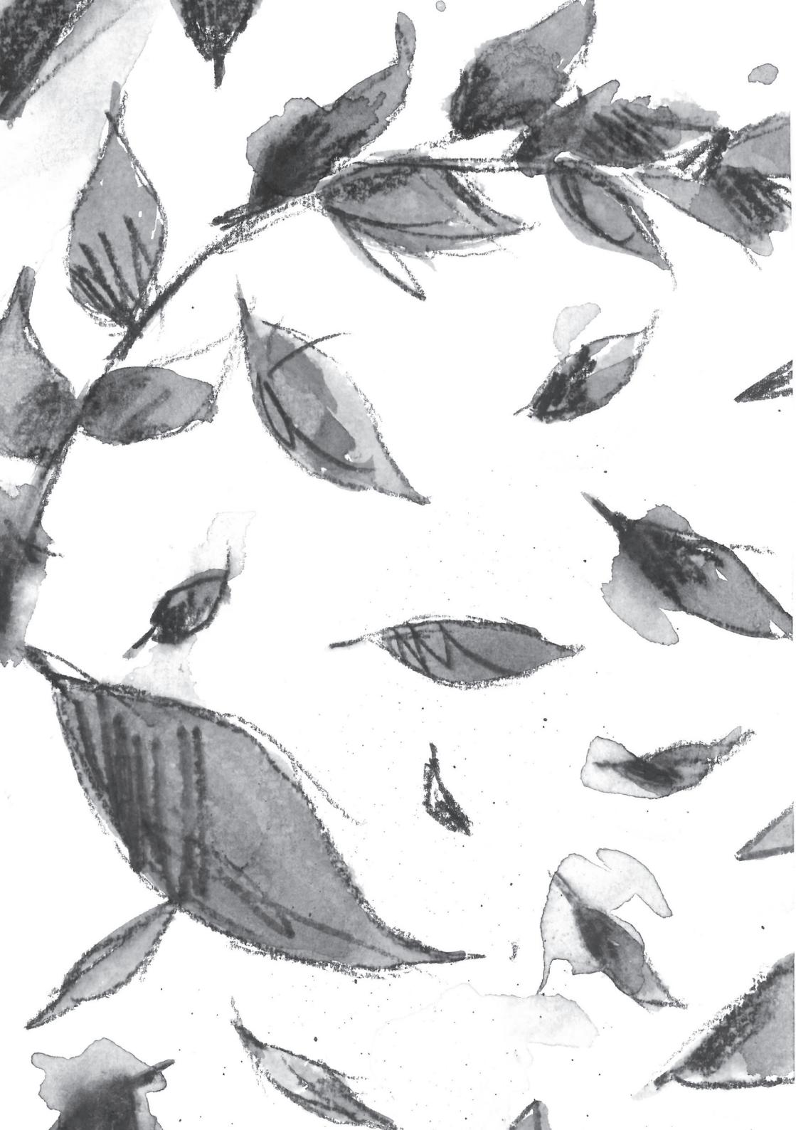 /numeri/immagini/01/_page_3_Picture_0.jpeg /numeri/immagini/01/_page_3_Picture_0.jpeg