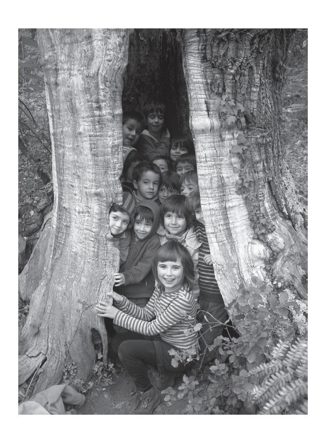 /numeri/immagini/02/_page_43_Picture_3.jpeg /numeri/immagini/02/_page_43_Picture_3.jpeg