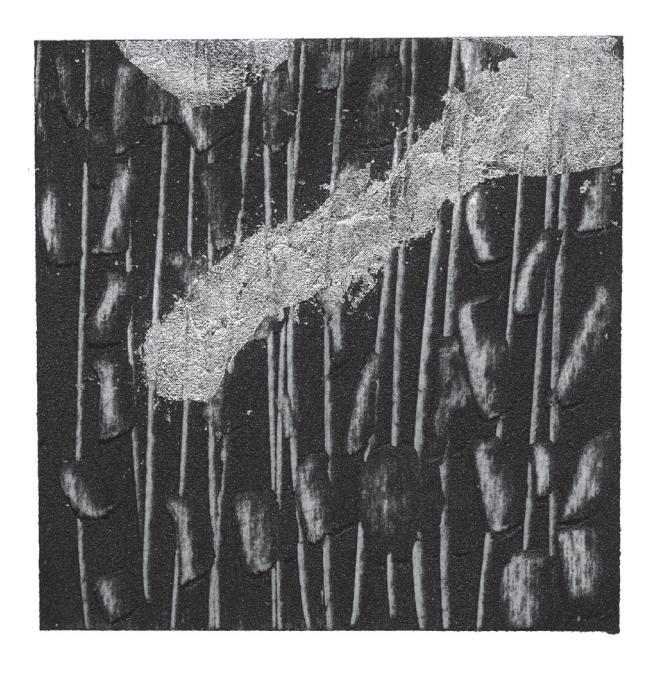/numeri/immagini/07/_page_73_Picture_1.jpeg /numeri/immagini/07/_page_73_Picture_1.jpeg