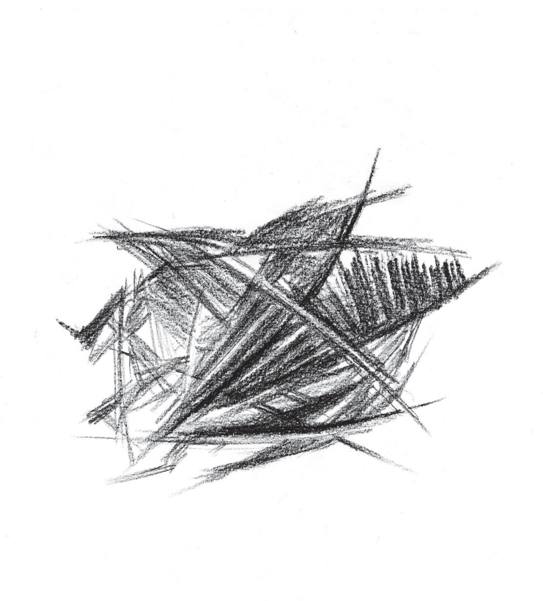 /numeri/immagini/09/_page_85_Picture_0.jpeg