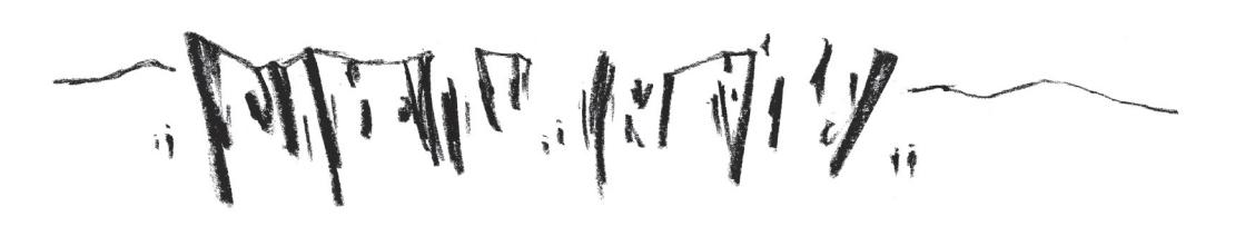 /numeri/immagini/09/_page_97_Picture_0.jpeg