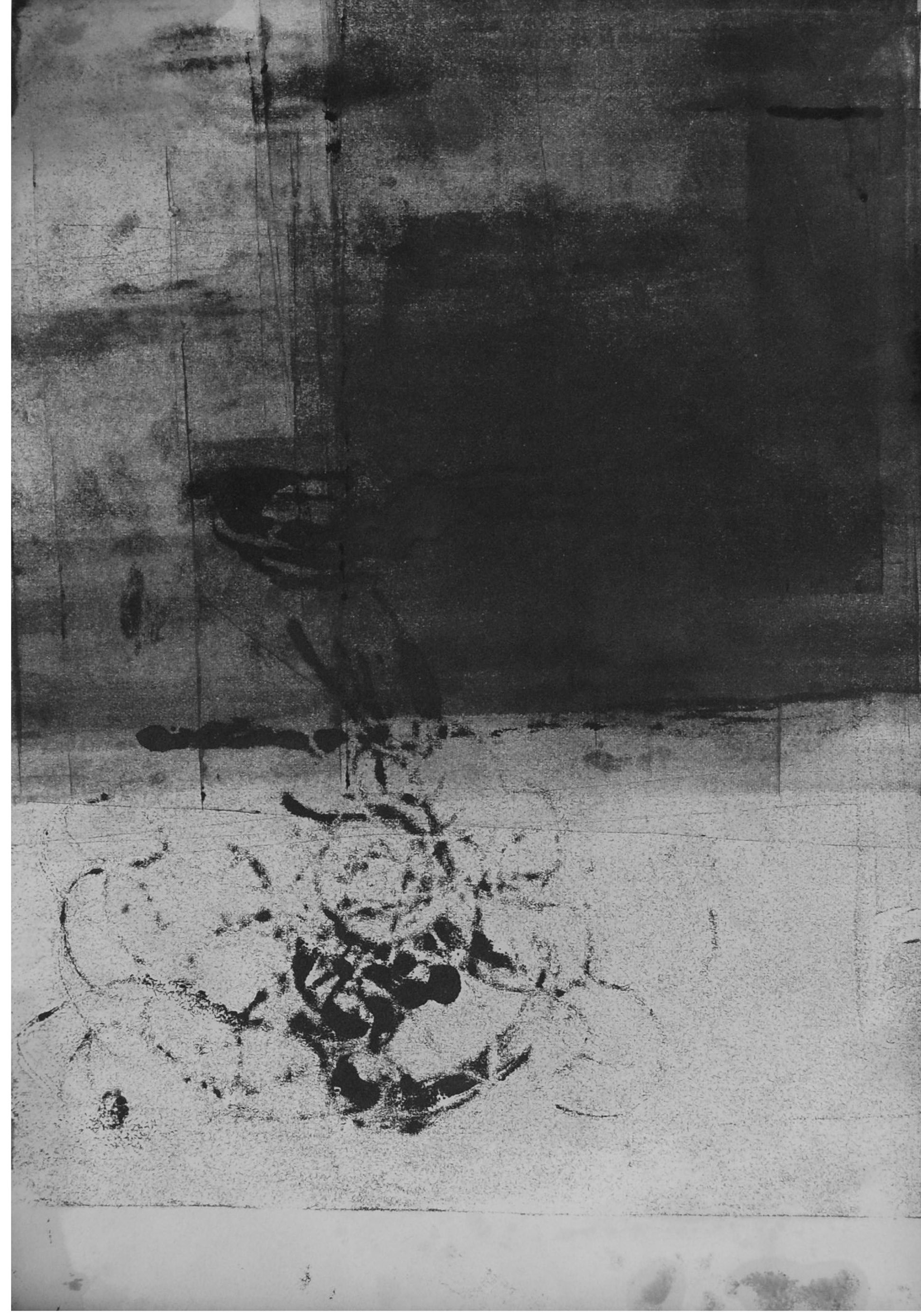 /numeri/immagini/14/_page_36_Picture_4.jpeg /numeri/immagini/14/_page_36_Picture_4.jpeg